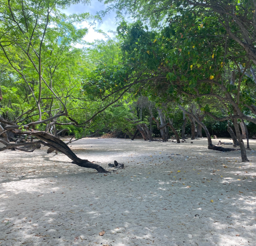 Plage sauvage sur l'île de la Réunion