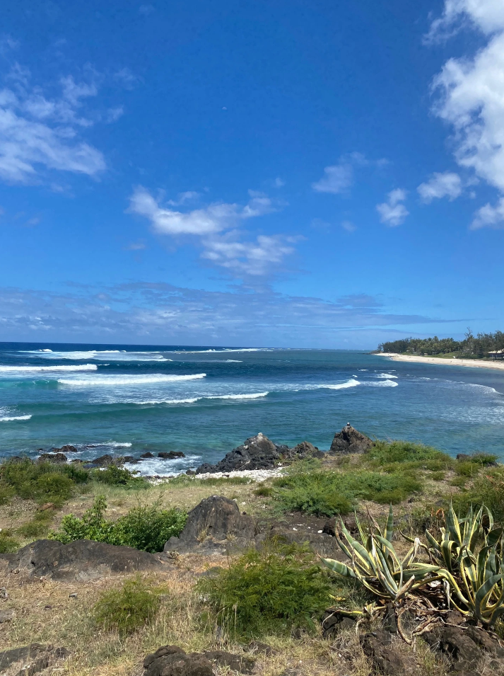 Séjour en van aménagé : bivouac sur les plages de l'île de la Réunion