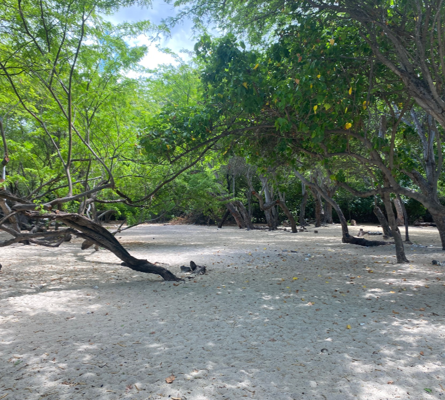 Plage des 3 bassins à La Réunion