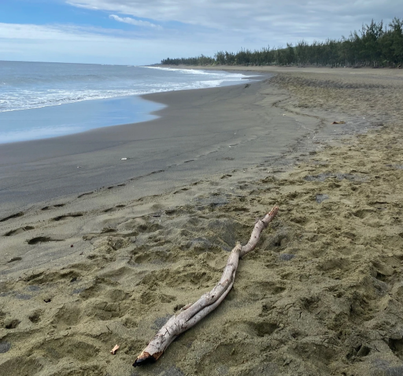 Plage de l’Étang-Salé sur l'île de la Réunion